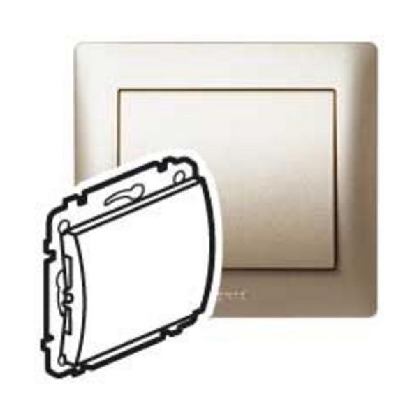 PLACA CIEGA CON TAPA GALEA TITANIO