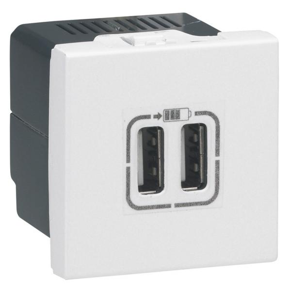 ALIMENTADOR 2xUSB MOSAIC 2 MÓDULOS BLANCO