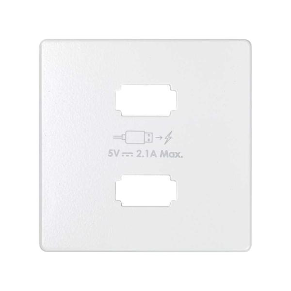 Placa cargador 2xUSB 5Vdc 2.1 tipo A