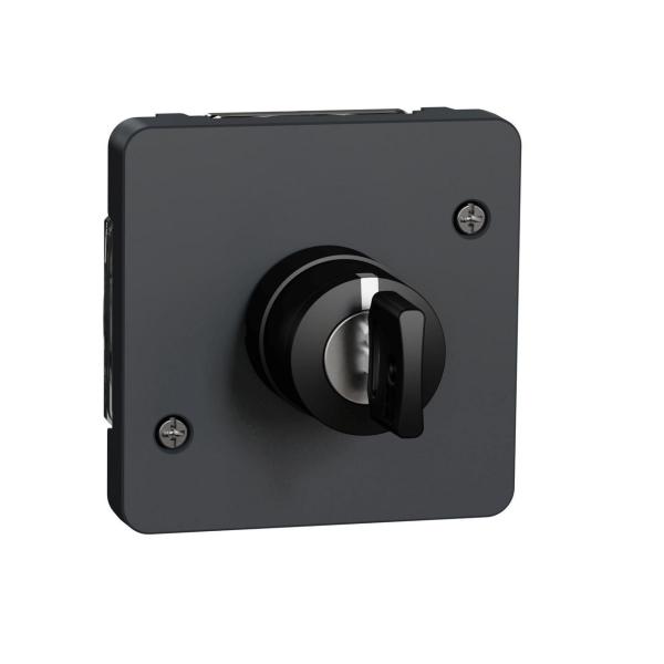INTERRUPTOR DE LLAVE 3 POSICIONES DE LA GAMA MUREVA STYL COLOR GRIS