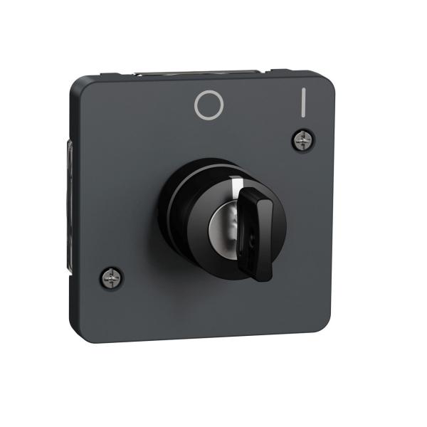 INTERRUPTOR DE LLAVE 2 POSICIONES DE LA GAMA MUREVA STYL COLOR GRIS