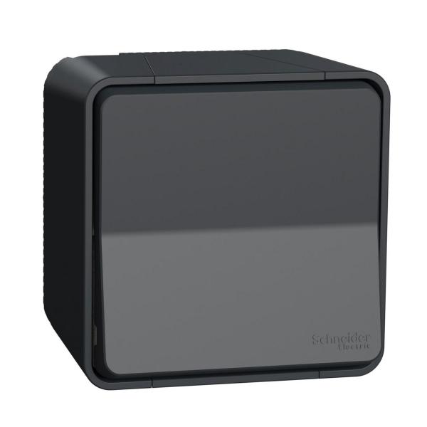 INTERRUPTOR BIPOLAR SUPERFICIE GRIS