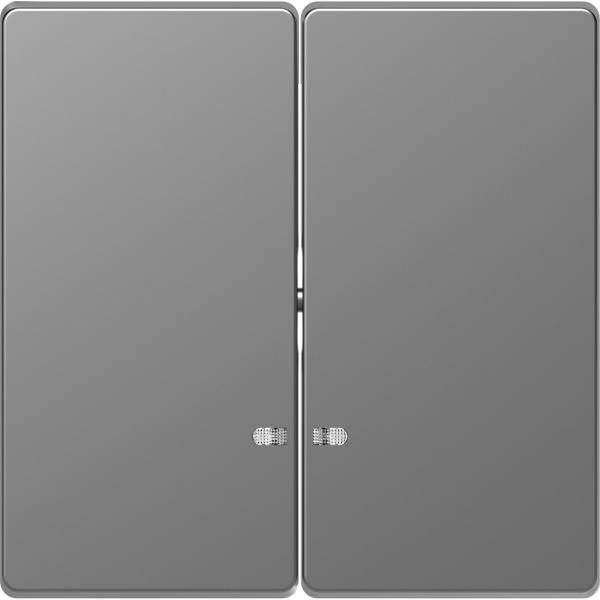 TECLA DOBLE CON VISOR PARA MECANISMO D-LIFE ALUMINIO