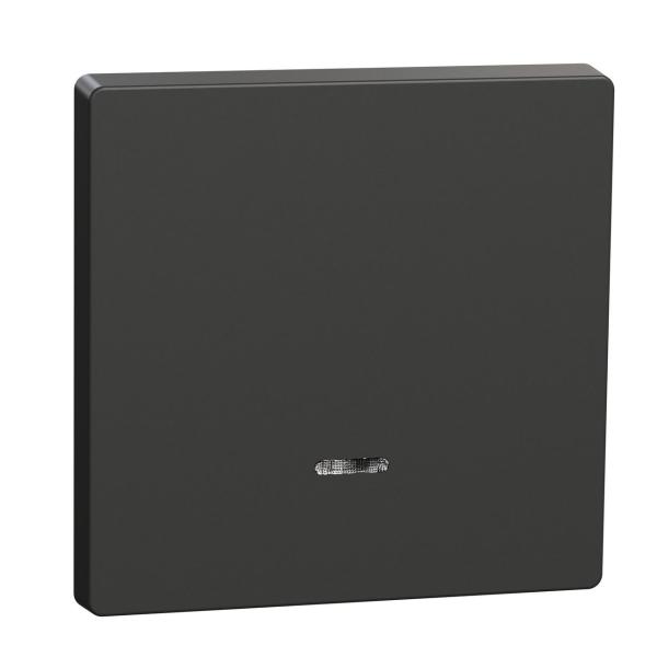 TECLA SIMPLE CON VISOR PARA MECANISMO D-LIFE ANTRACITA