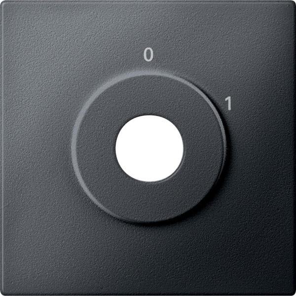 TAPA INTERRUPTOR LLAVE 2 POSICIONES ANTRACITA