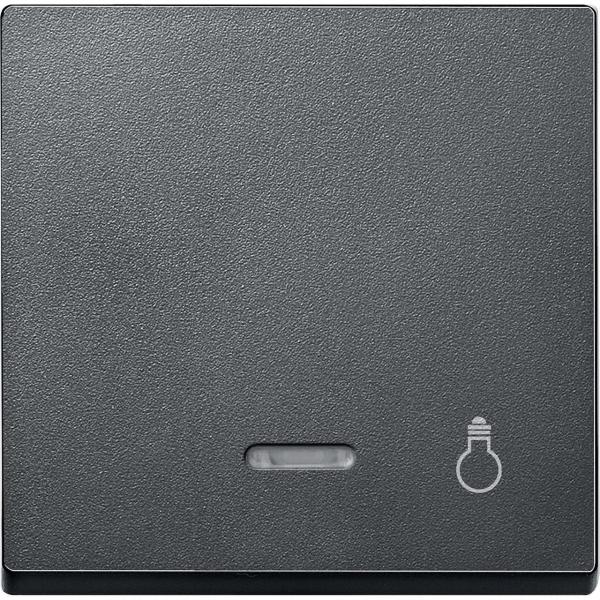 TECLA SMBOLO LUZ CON VISOR ELEGANCE ANTRACITA