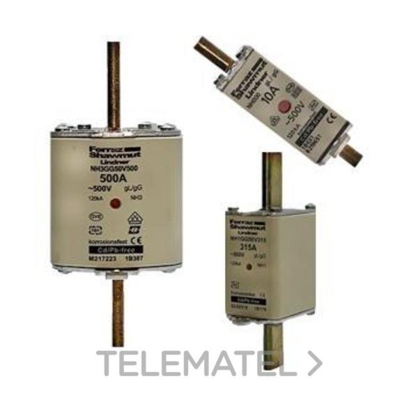 FUSIBLE NH 0 100A 500V GG