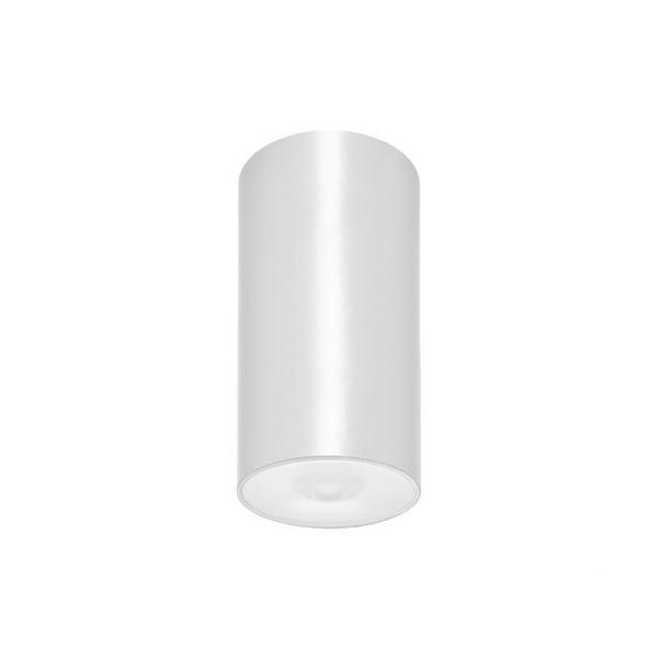 LUMINARIA ESTANCA LENS N30 1h 230V BLANCO
