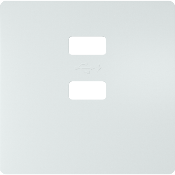 Tapa cargador doble usb blanco polar