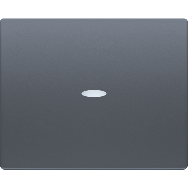 Iris, Tecla interruptor /conmutador/cruzamiento con difusor, Acero Neptuno