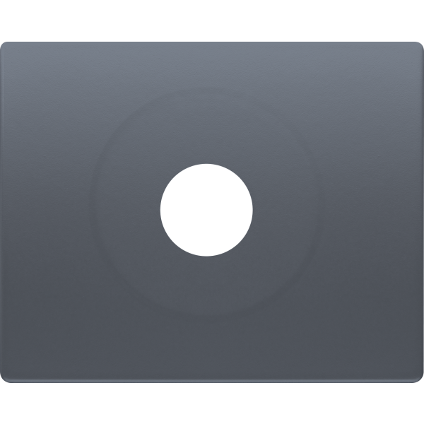 Iris, Placa toma altavoz din