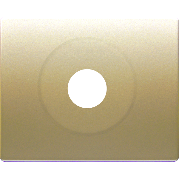 Iris, Placa toma altavoz din