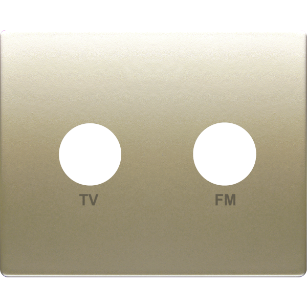 Mega, tapa toma tv-fm dorado malta