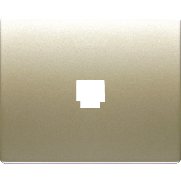 Mega, tapa toma telefono (8 vias rj-45) dorado malta