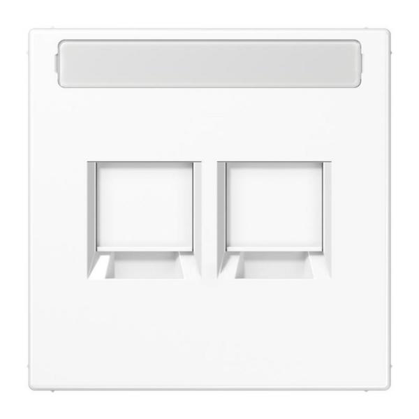 PLACA MODULAR JACK-RADIALL 2 TOMAS LS1969-2NAWEWW LS BLANCO ALPINO