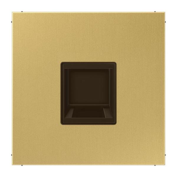 PLACA MODULAR JACK-RADIALL 1 TOMA LS LATN CLARO