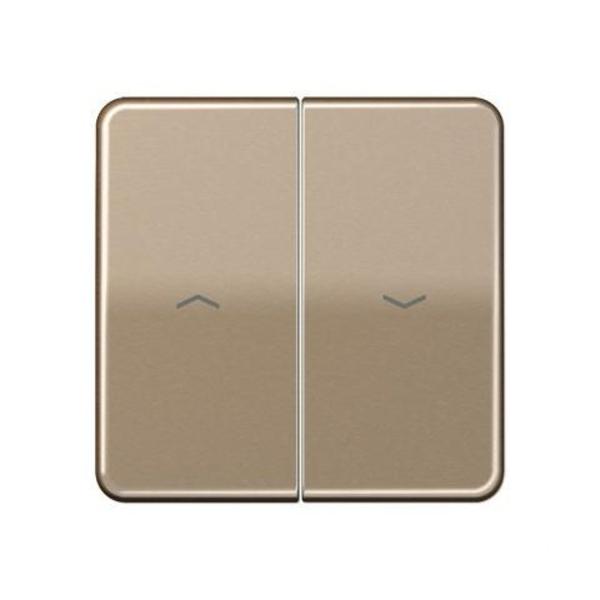 TECLA PARA INTERRUPTOR PULSADOR PERSIANA BRONCE-ORO