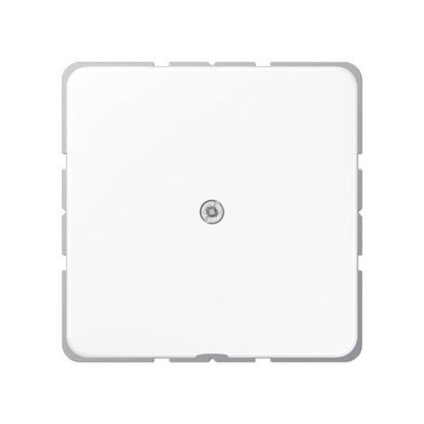 TAPA CON SALIDA CABLE / CAJA CONEXIÓN TELÉFONO BLANCO ALPINO
