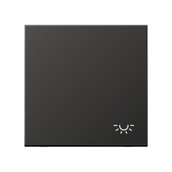 TECLA PARA MECANISMO SIMPLE SÍMBOLO LUZ ANTRACITA