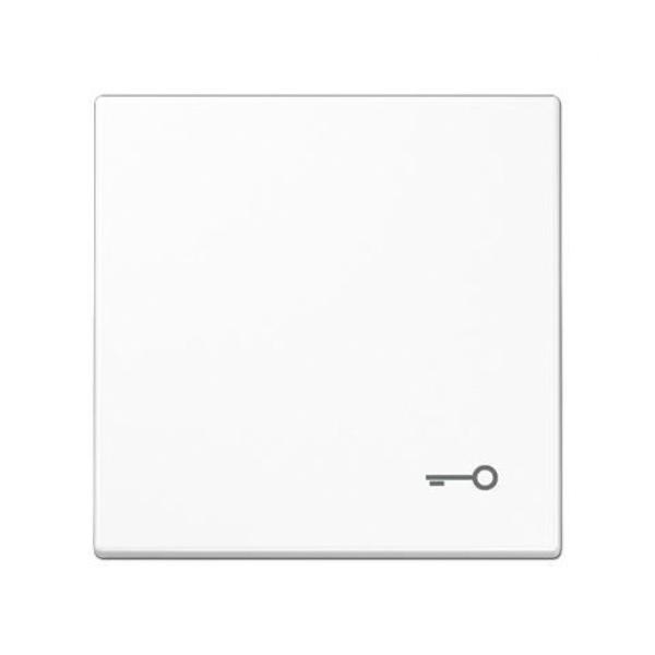 TECLA SMBOLO PUERTA BLANCO ALPINO
