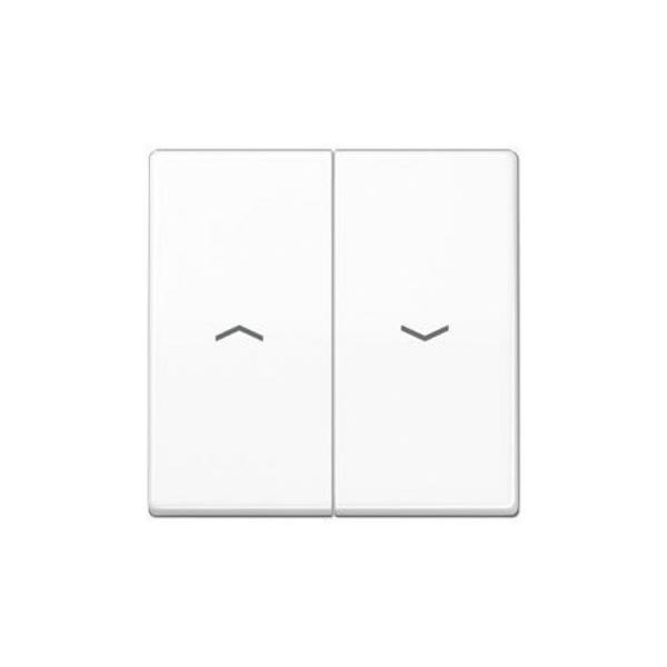 TECLA PARA INTERRUPTOR PULSADOR PERSIANA SÍMBOLO PLACA CENTRAL BLANCO