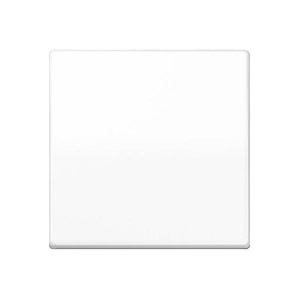 TECLA PARA MECANISMO SIMPLE PLACA CENTRAL BLANCO ALPINO