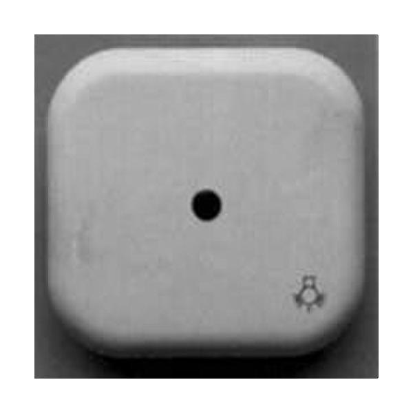 TECLA PULS.LUZ C/VISOR S.LX BL.ALPINO