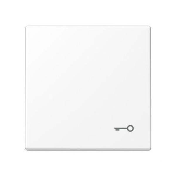 TECLA CON SÍMBOLO PUERTA LS BLANCO MATE