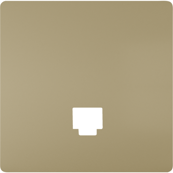 Tapa conector 1 rj48, dorado malta