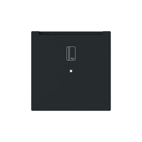 TECLA INTERRUPTOR DE TARJETA CON VISOR SERIE ALBA NEGRO MATE