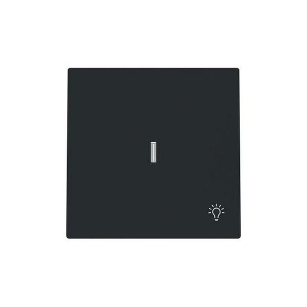 TECLA PULSADOR CON SÍMBOLO LUZ Y VISOR SERIE ALBA NEGRO MATE